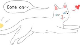 名家_毛起來_原來母貓沒月經？牠們這樣「轉大人」