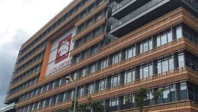 雄獅 圖／翻攝自judgehsu,ig