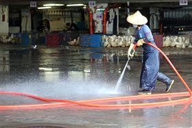 －禽流感－市場－雞－鴨－鵝－禁宰－禁運－圖／中央社