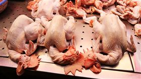 －禽流感－市場－雞－鴨－鵝－禁宰－禁運－圖／中央社