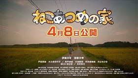 貓咪收集,ねこあつめ
圖／翻攝自AMGエンタテインメント MOVIEチャンネル YoouTube