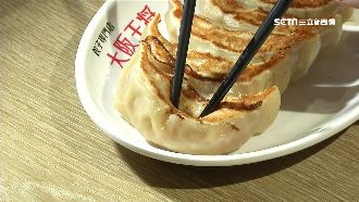 日式煎餃戰火燒台　一南一北拚人氣