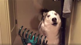 （圖／翻攝自臉書Wonderful Stories）