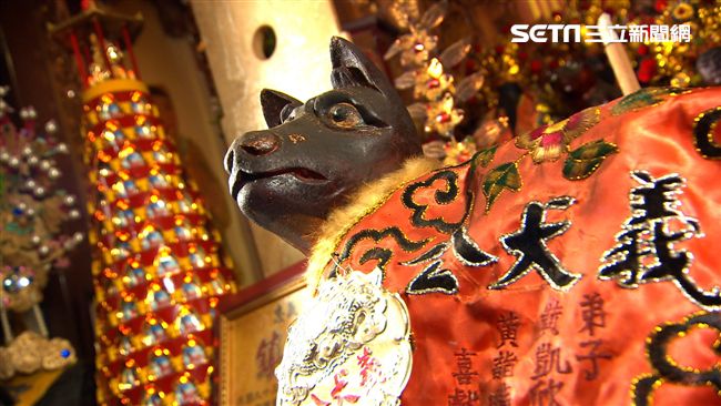 動物守護神　獨家毛小孩專屬平安燈