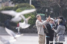 陸客,觀光,旅遊,自由行,旅行團,禽流感,鴿子,H5N6,防疫,疾管署,農委會 圖／記者林敬旻攝