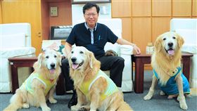 鄭文燦,動物友善城市（圖／取自鄭文燦臉書）