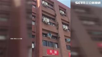 獼猴垂降闖進宿舍　網友：特種部隊！
