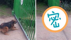 圖／翻攝自YouTube