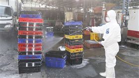 －禽流感－市場－雞－鴨－鵝－禁宰－禁運－圖／中央社