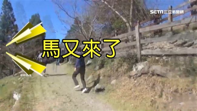 清境奔羊節馬失控！女被撞斷牙腦震盪