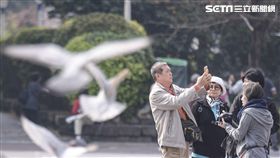 陸客,觀光,旅遊,自由行,旅行團,禽流感,鴿子,H5N6,防疫,疾管署,農委會 圖／記者林敬旻攝