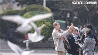 自由行不夠香?旅客讚跟團4好處：爽度100%