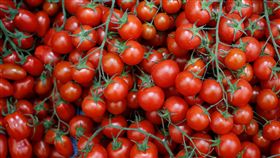 番茄_路透社／達志影像