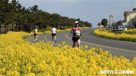 韓國運動主題旅遊,濟州島油菜花,慶州櫻花,馬拉松,自行車道,濟州野火節。（圖／韓國觀光公社提供）