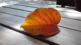 旅遊滔客(圖片版權屬於滔客線上雜誌)