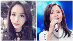 吳淑敏（合成圖／翻攝自吳淑敏臉書）