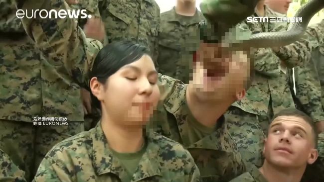 吞「蛇血」壯膽　美泰大軍演野蠻登場