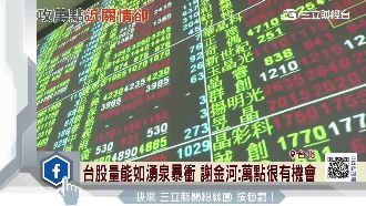 台股量能暴衝　謝金河：有機會破萬點