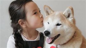 柴犬,斐洛,Philo,IG,絨球,Pompon,妹妹,兄妹,哥哥,法國,韓國,攝影師 圖／philo_pomponIGhttps://goo.gl/ErQgIK