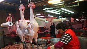 －禽流感－市場－雞－鴨－鵝－禁宰－禁運－圖／中央社