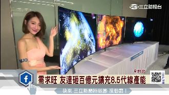 紅潮低價威脅　友達：不同層次的競爭