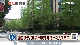 國巨陳泰銘再買文華苑　逢低入手兩戶