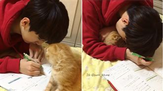 見哥哥埋頭寫作業　小貓撒嬌收服他