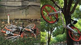 共享單車,卡拉單車,kala 圖／翻攝自微博