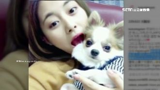 新歌點閱破千萬　子瑜攜愛犬放送親親