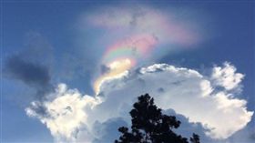 新加坡,星國,火彩虹,天文,奇觀,景象,冰晶雲　圖／翻攝自BBC