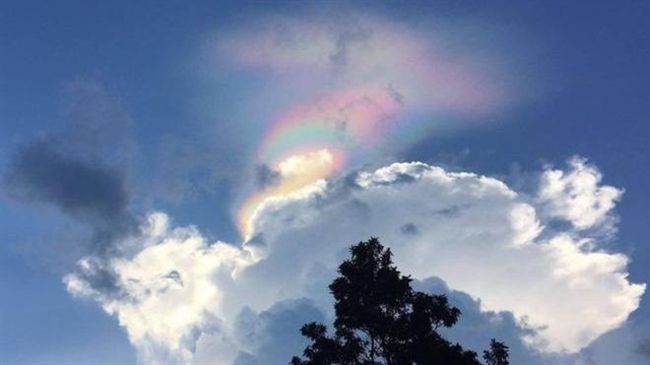 星國現「火彩虹」奇景　專家：超罕見