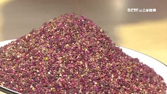 養生聖品「紅藜」　可有效預防大腸癌