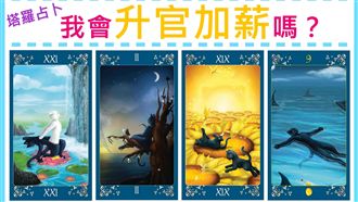 快來選一張牌　讓星星教授為你解析