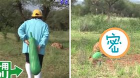 圖／翻攝自YouTube