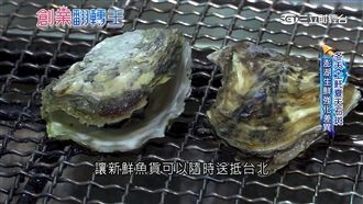 燒肉店競爭激烈　澎湖海鮮跨海助陣