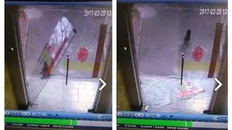 汪星人狂追喵皇　結果下一秒GG了