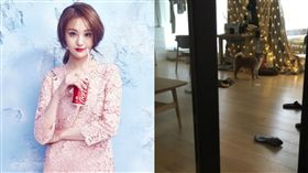 圖翻攝自微博 鄭爽