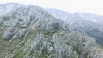 氣溫一凍到228　玉山合歡山恐降雪