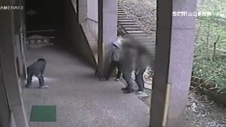 屁孩貪玩！4校外生闖國小亂噴滅火器