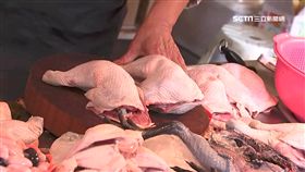 -禽流感-雞肉-