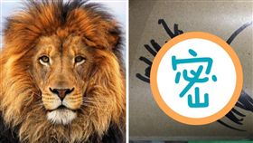 圖／翻攝自Dcard