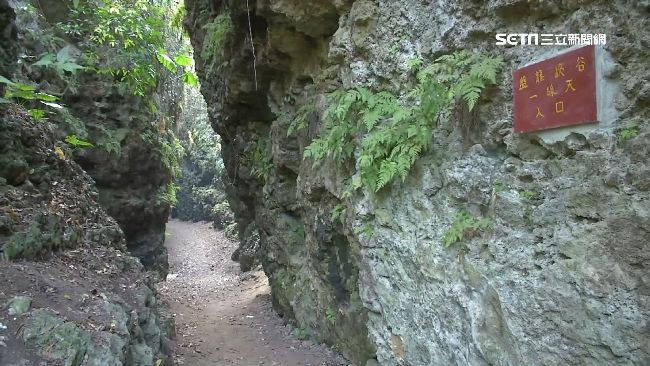 高雄秘境龍盤峽谷　遭惡意噴漆鋪沙