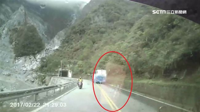 女逆向撞死騎士　網友質疑低頭滑手機