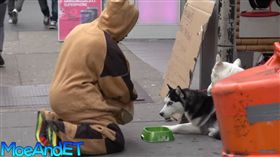 流浪漢拿身上所有的錢去幫助流浪狗。（圖／翻攝自MoeAndET YouTube）