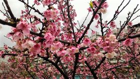 內湖樂活公園臉書