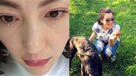 張陸、張棪琰、邵思涵／微博