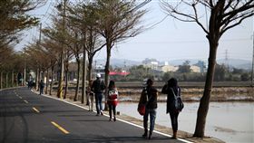 桃園機場捷運,機捷小旅行,蘆竹坑口彩繪村。（圖／記者簡佑庭攝）