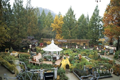 深度走訪韓星兩大故鄉 就這樣攻略釜山、大邱吧!