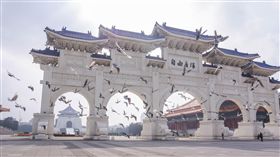 自由廣場,中正紀念堂,禽流感,鴿子,H5N6,防疫,疾管署,農委會 圖／記者林敬旻攝