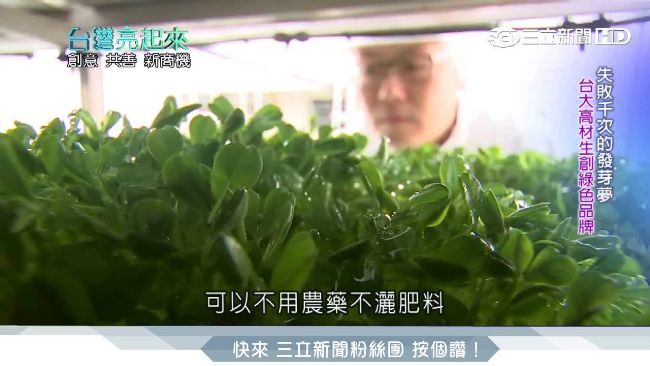 金融菁英轉農業　種出有機「活芽菜」